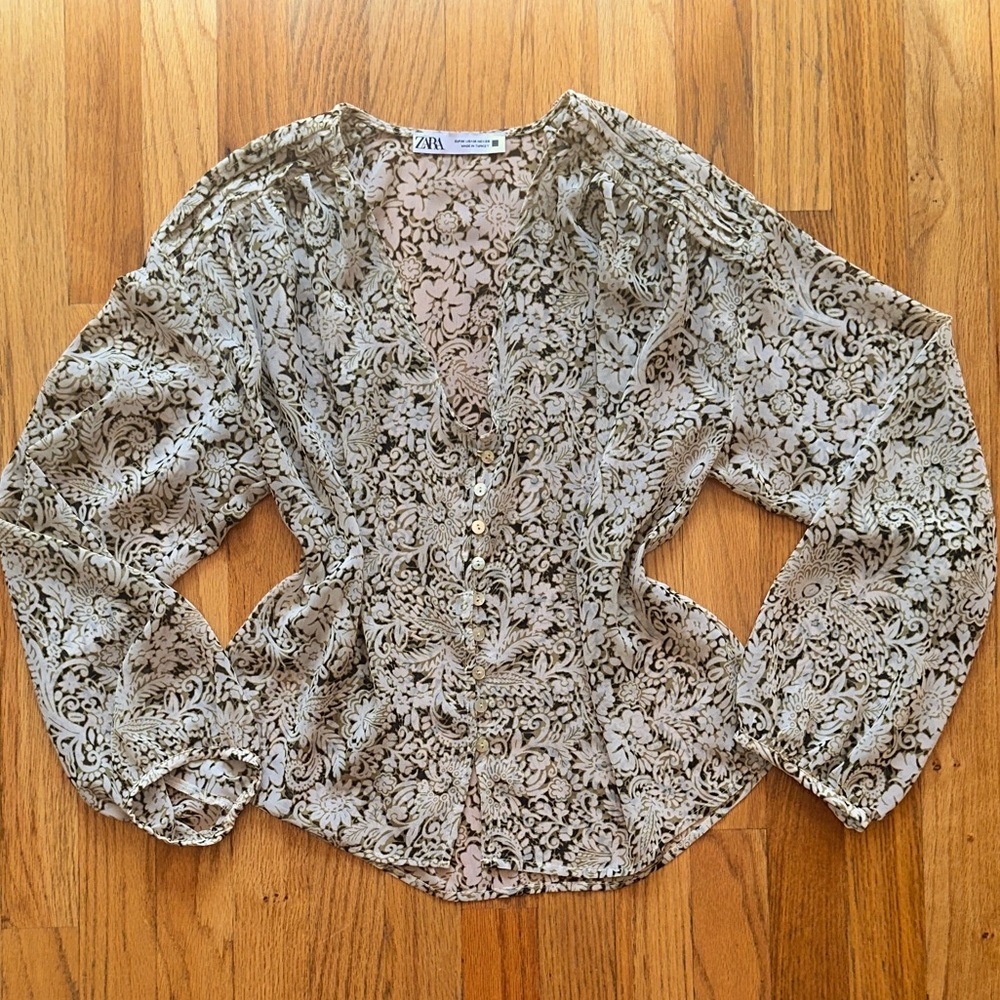 Zara Sheer Button-Front Blouse